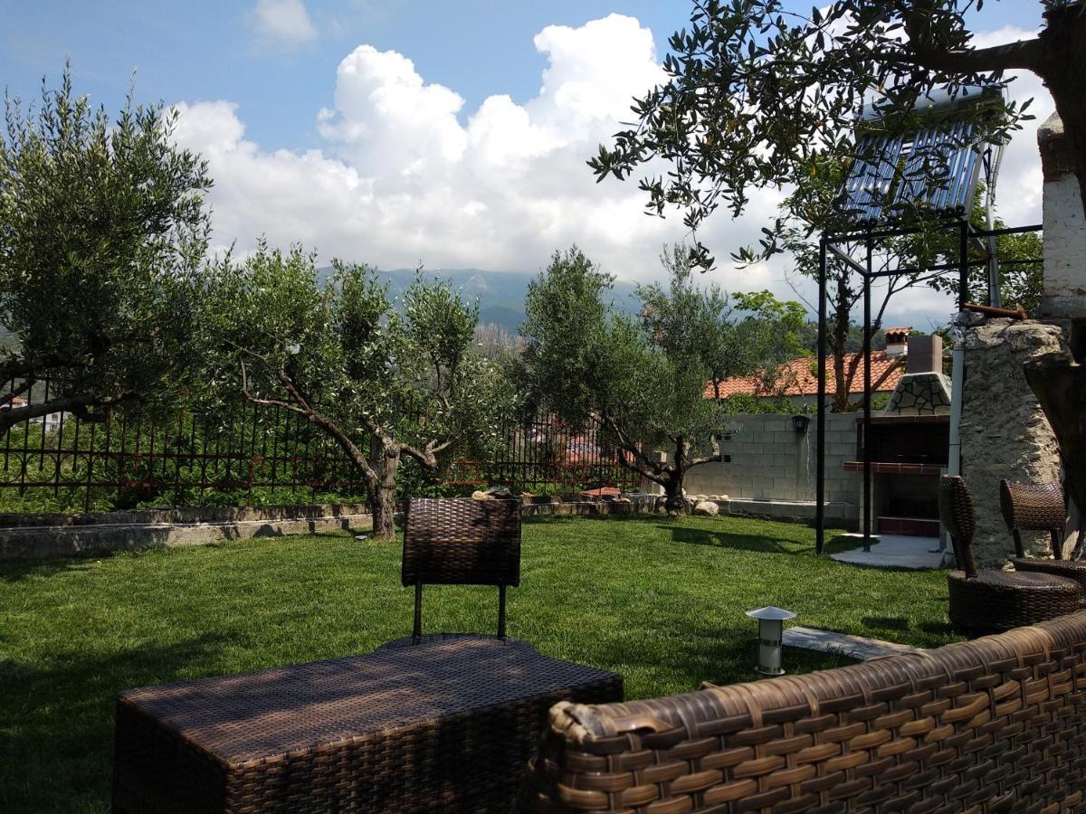 Villa Agnanti Apts And Suites Agio Pnevma Екстериор снимка