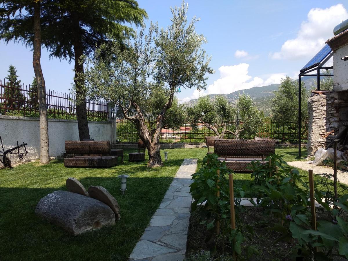 Villa Agnanti Apts And Suites Agio Pnevma Екстериор снимка